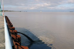 Pauillac 2.jpg