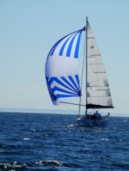 P8090485_r.jpg