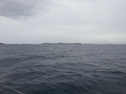 20130910_151439.jpg