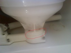 cuvette.JPG