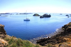 MOUILLAGE TOUT L'OLIVE.jpg